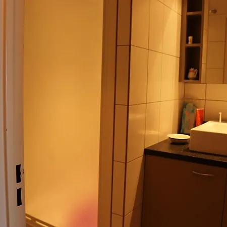 Apartamento Climatise Avec Terrasse, Parking, Animaux Admis - Fr-1-100-184 *